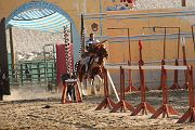 IMG_3501 