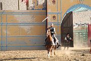 IMG_3542 