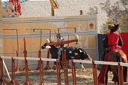 IMG_3566 