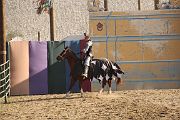 IMG_3574 
