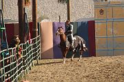 IMG_3577 