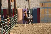 IMG_3578 