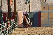IMG_3581 