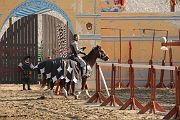 IMG_3586 