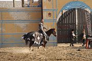 IMG_3591 