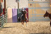 IMG_3637 