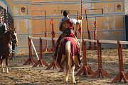IMG_3640 