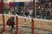 IMG_3767 