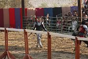 IMG_3769 
