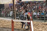 IMG_3774 