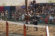 IMG_3779 