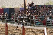 IMG_3782 