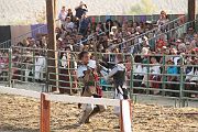 IMG_3786 