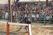 IMG_3787 