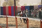IMG_3797 