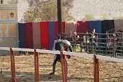 IMG_3798 