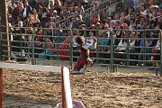 IMG_3802 