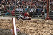 IMG_3804 