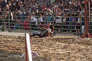 IMG_3805 