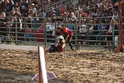IMG_3806 