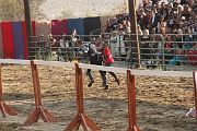 IMG_3816 