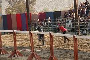 IMG_3817 