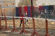 IMG_3819 