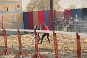 IMG_3826 