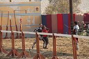 IMG_3842 