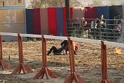 IMG_3850 