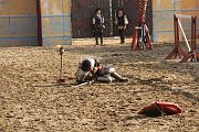 IMG_3875 