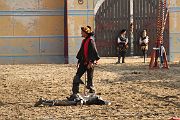 IMG_3903 