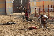 IMG_3928 