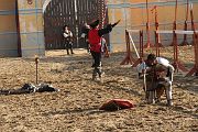 IMG_3931 