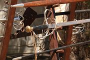 IMG_1428 
