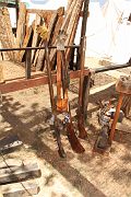 IMG_1481 