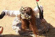 IMG_3229 