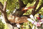 IMG_3234 