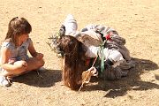 IMG_3238 
