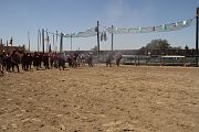 IMG_0933 