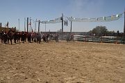 IMG_0934 