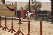IMG_1545 