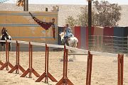 IMG_1546 
