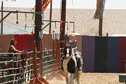 IMG_1549 