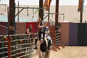 IMG_1551 