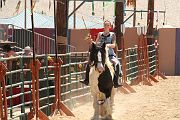 IMG_1552 