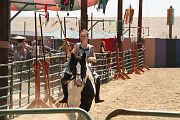 IMG_1556 