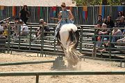 IMG_1564 