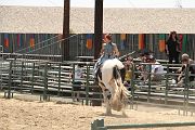 IMG_1566 
