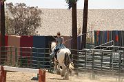 IMG_1568 